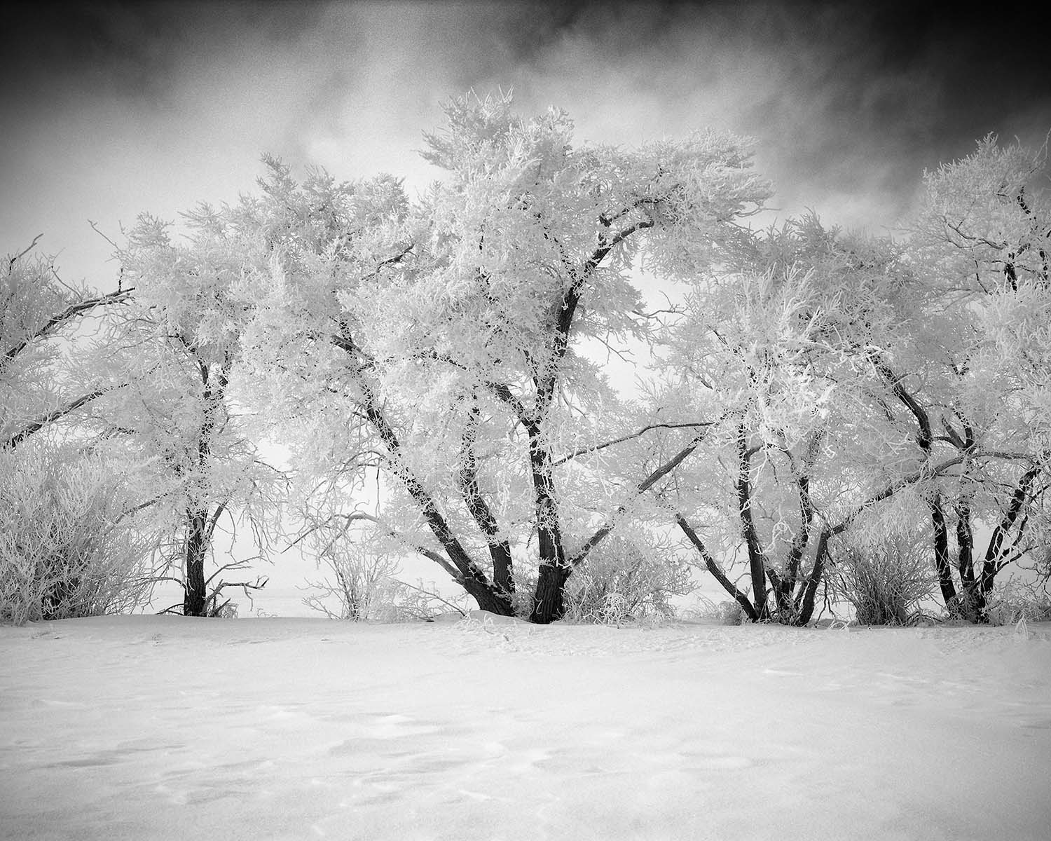 Amazing Landscapes Captured In Timeless Black And White | World ...